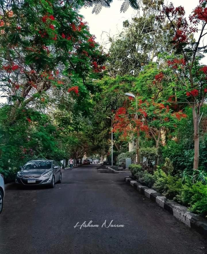 شقق فندقيه غرفتين مكيفة Káhira Exteriér fotografie